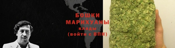 ГАЛЛЮЦИНОГЕННЫЕ ГРИБЫ Майский