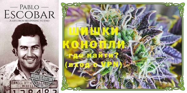 ГАЛЛЮЦИНОГЕННЫЕ ГРИБЫ Майский