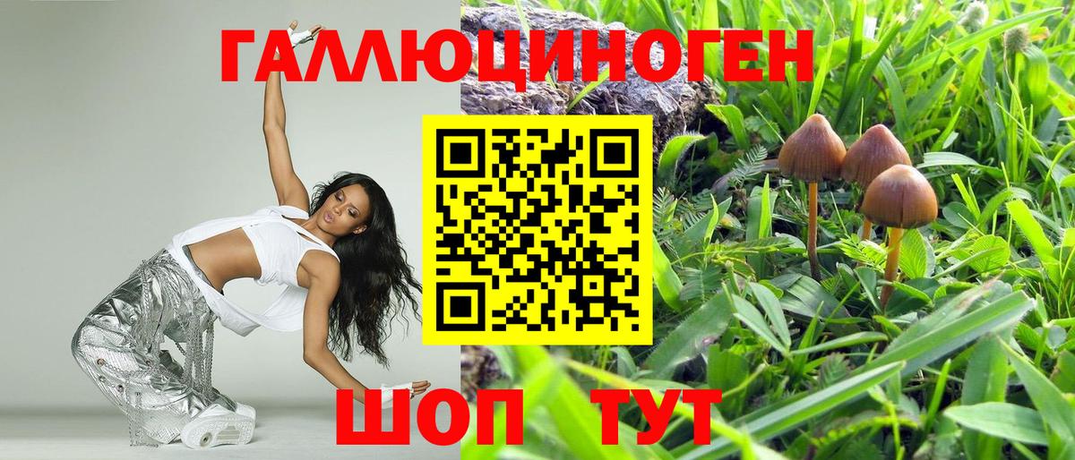 продажа наркотиков  Арсеньев  Псилоцибиновые грибы Psilocybe 