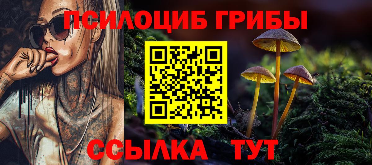 Галлюциногенные грибы Magic Shrooms  Галлюциногенные грибы Psilocybe  Вход с VPN  Арсеньев 