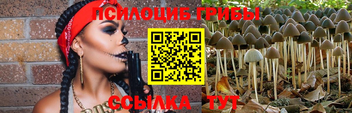 Псилоцибиновые грибы Psilocybe Арсеньев